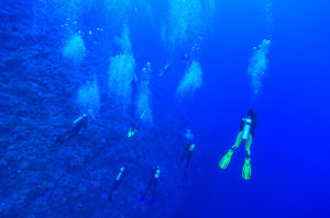 Scuba Diving DIVE CENTER KRK Croatia